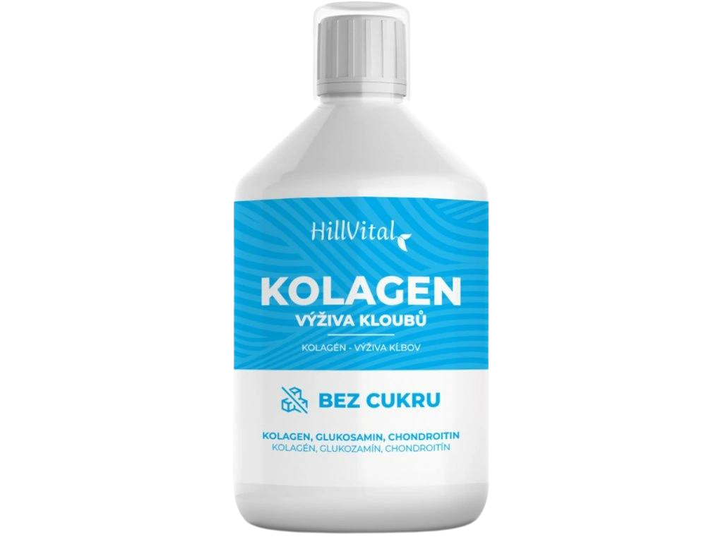 Kollagen - Gelenkunterstützung 500ml