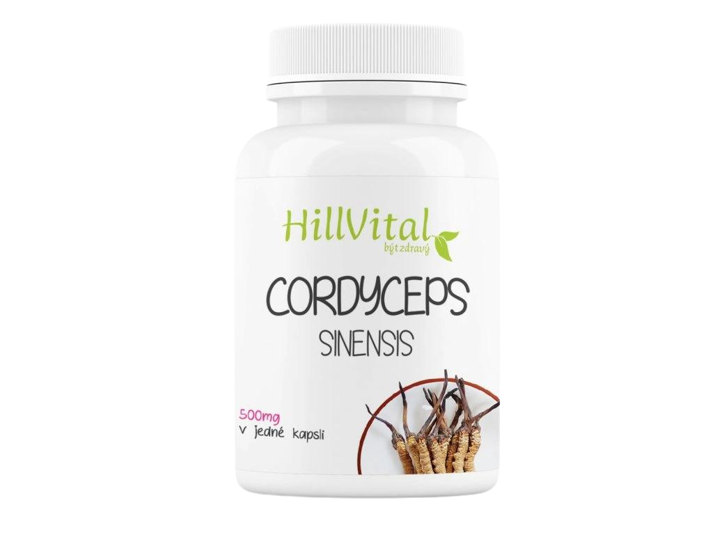 Cordyceps Sinensis 60pcs