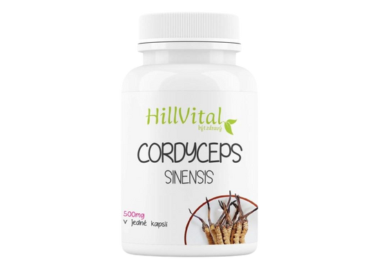 Cordyceps Sinensis 60 Stück