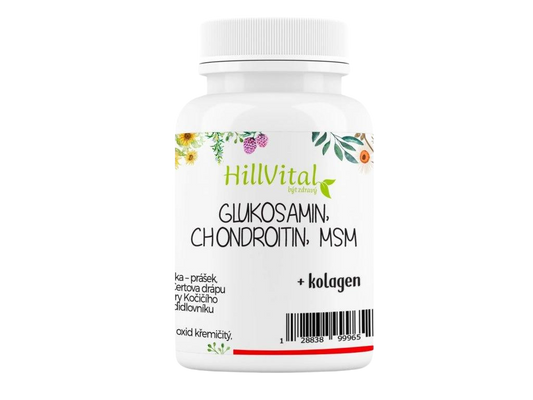 Glucosamin, Chondroitin, Msm 60 Stück