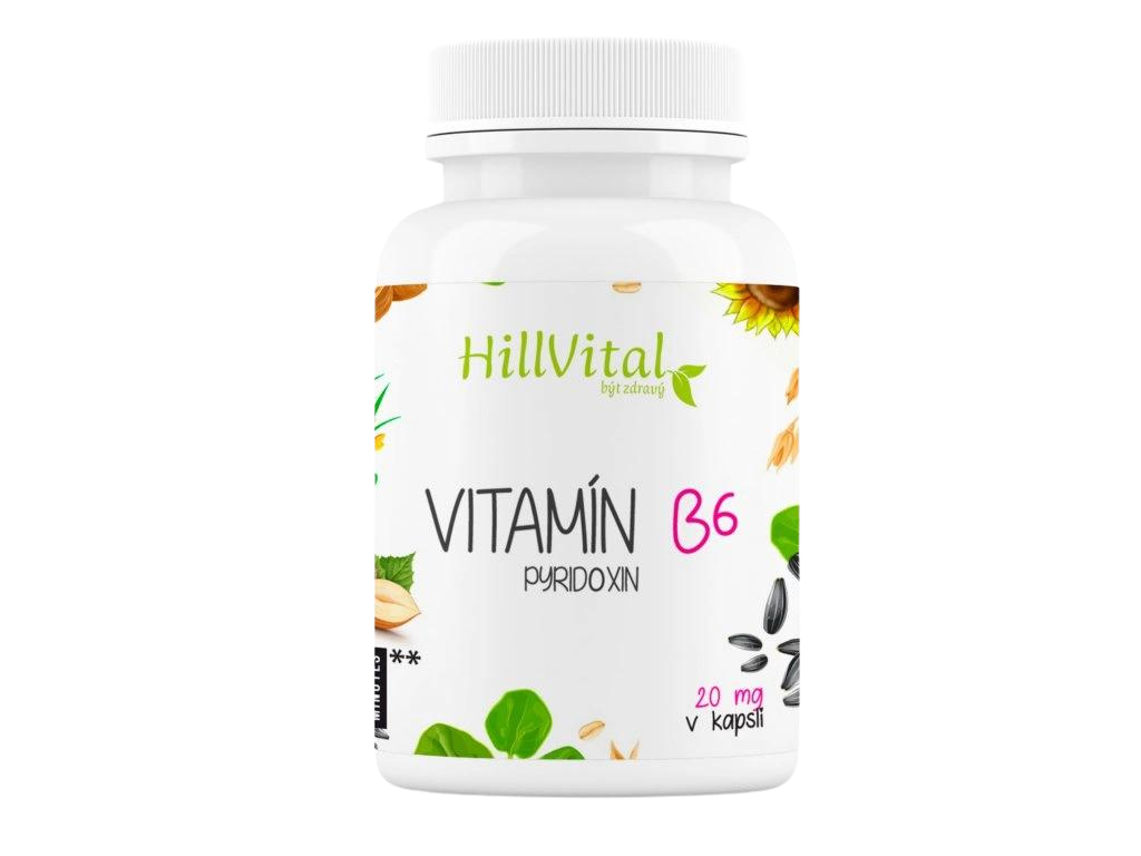 Vitamin B6 100pcs