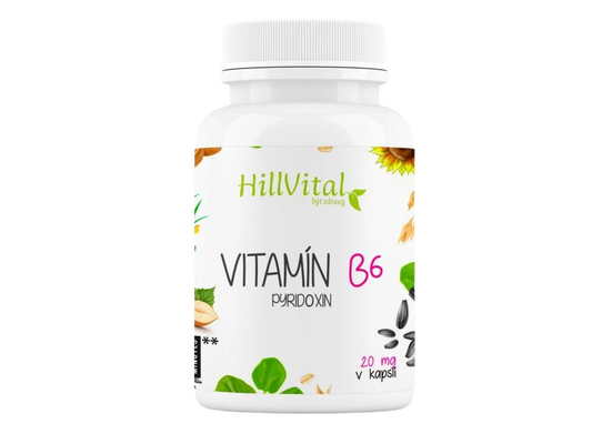 Vitamin B6 100pcs